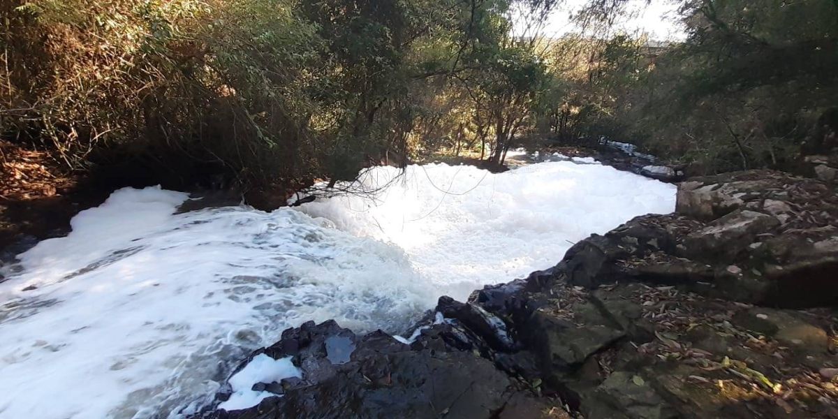 Rio São Francisco é tomado por espuma e mau cheio em Cascavel