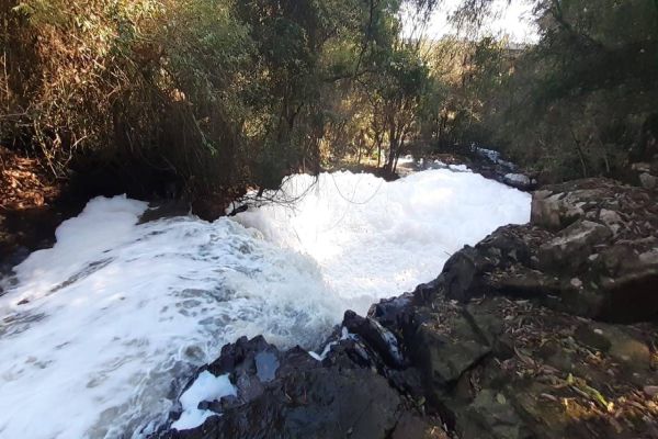 Imagem referente a notícia: Rio São Francisco é tomado por espuma e mau cheio em Cascavel