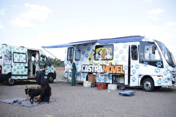 Castramóvel realiza castrações agendadas no bairro Cascavel Velho