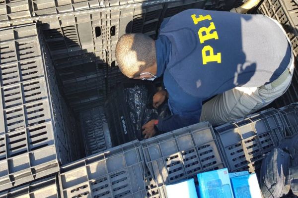 Imagem referente a notícia: PRF apreende eletrônicos ocultos em caminhão de tomates na BR-277