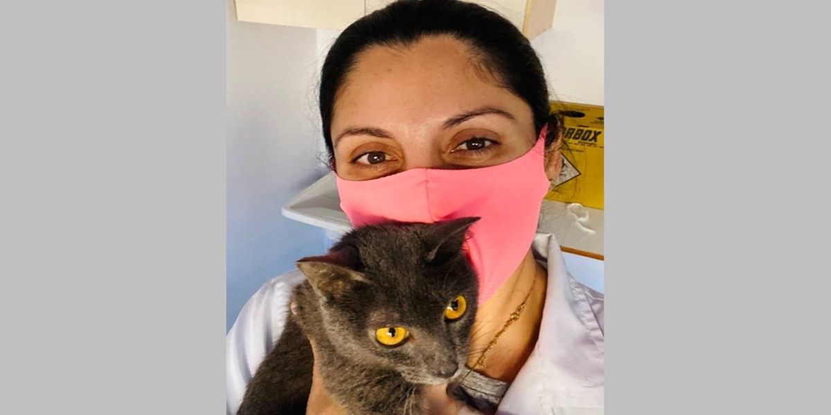 Pets precisam de cuidados especiais durante o inverno