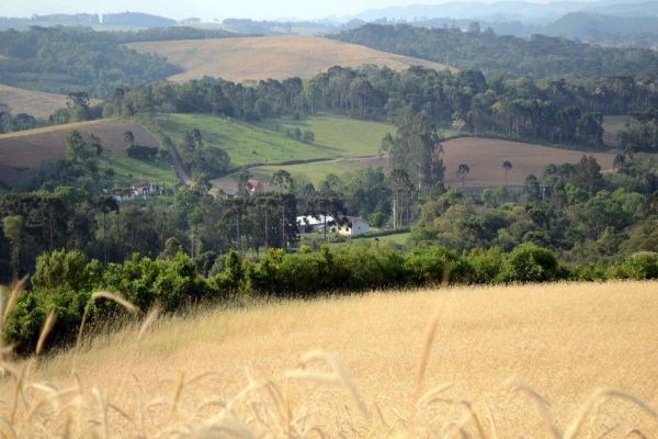 Paraná será um dos primeiros a fazer análise automática do Cadastro Ambiental Rural