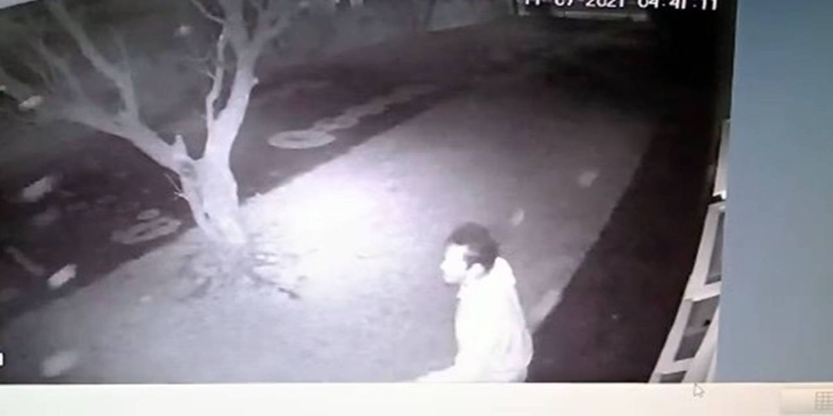 Câmera de Segurança registra homem tentando arrombar Cmei do Bairro Santa Felicidade