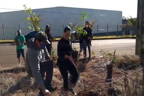 Imagem referente a notícia: ONG Amigos dos Rios e Amigos do DR. Lauri realizam o plantio de mais de 80 mudas no Núcleo Citivel