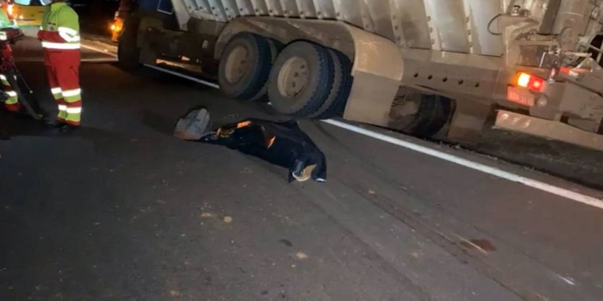 Ciclista morre após ser atropelado na rodovia BR-277 em Cascavel