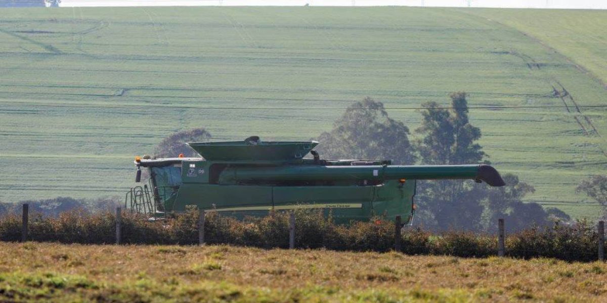 BRDE repassa R$ 525 milhões em créditos na atual safra e projeta R$ 600 milhões para 2021/22