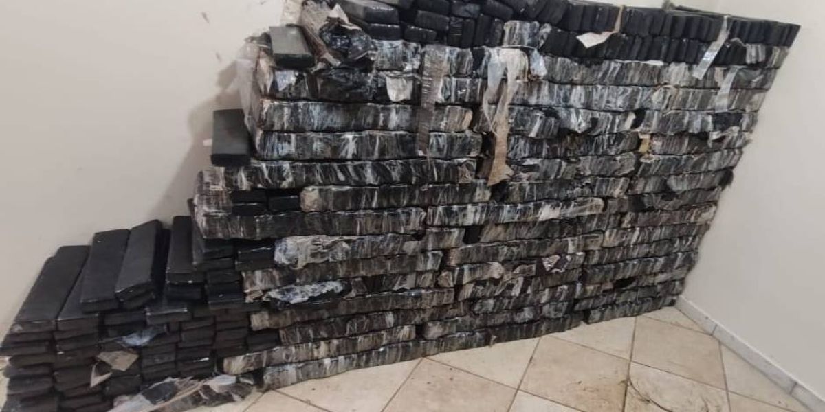 Denarc Cascavel  apreende mais de uma tonelada de maconha