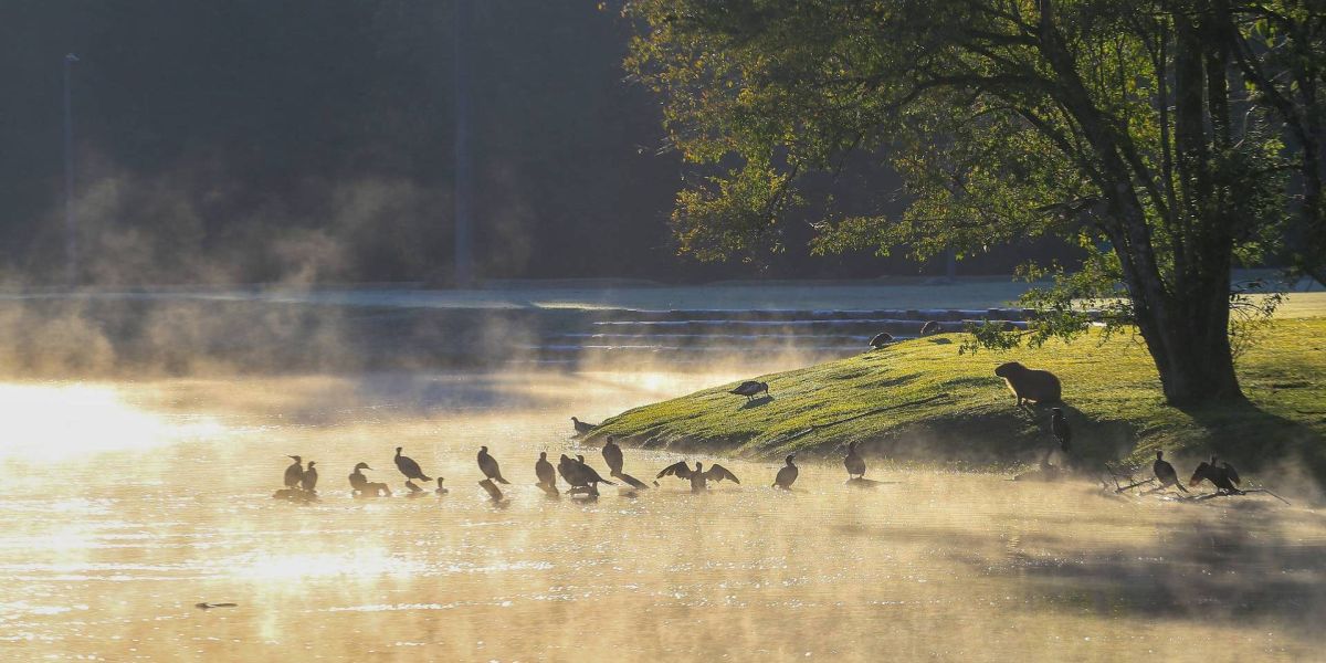 Junho trará chuva para regiões secas e, mesmo com frio, temperaturas ficarão na média