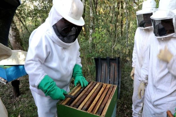 Defesa Civil conclui capacitação de apicultura na Agrotec
