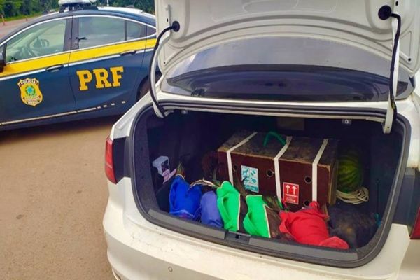 MP obtém liminar em contra prefeito de Boa Vista da Aparecida por usos indevidos de veículo oficial