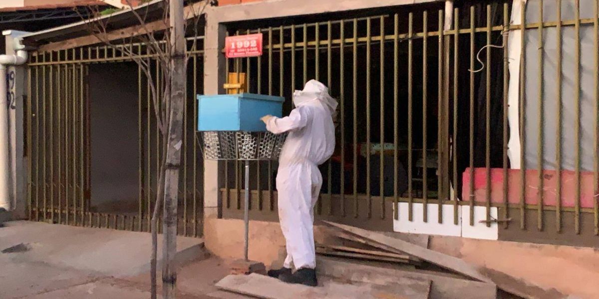 Defesa Civil é acionada para retirar colmeia no Loteamento Riviera em Cascavel