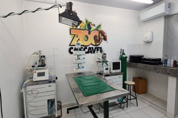 Animais do zoo tem tratamento de qualidade em ambulatório