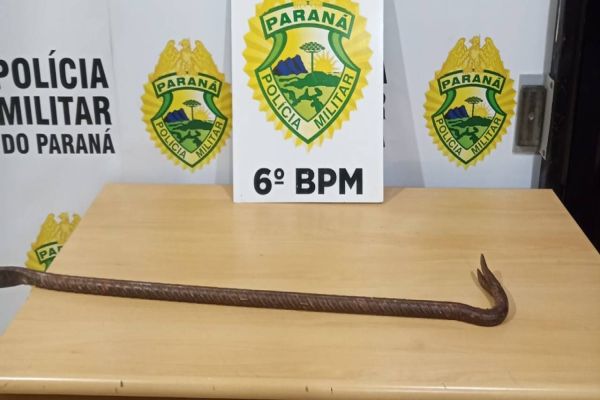 Homem é detido pela PM com pé de cabra após tentativa de furto no Bairro Alto Alegre