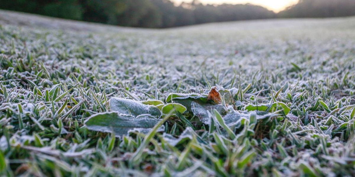 Defesa Civil emite nota sobre massa de ar polar no Paraná