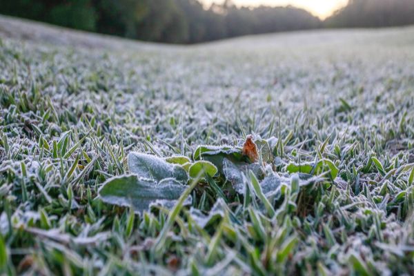 Defesa Civil emite nota sobre massa de ar polar no Paraná