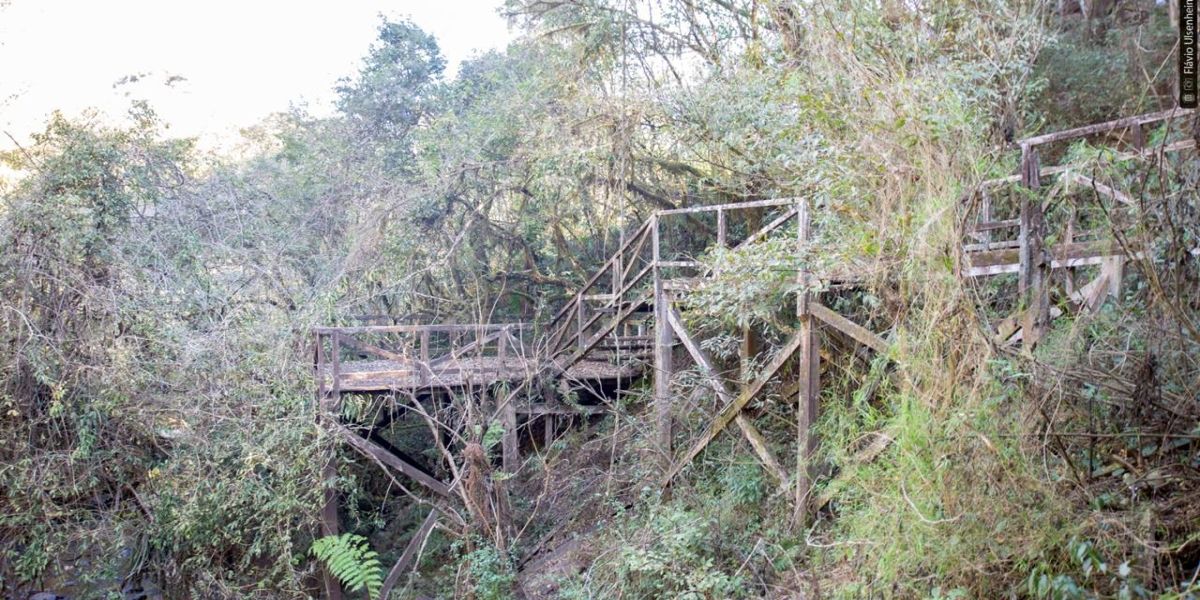 Comissão de Turismo e Assuntos Internacionais vistoriam a Ponte Molhada