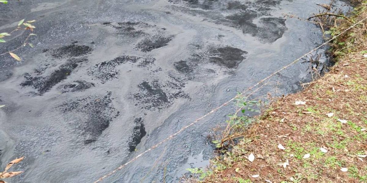 Imagens impressionantes mostram a densa poluição no Rio das Antas em Cascavel
