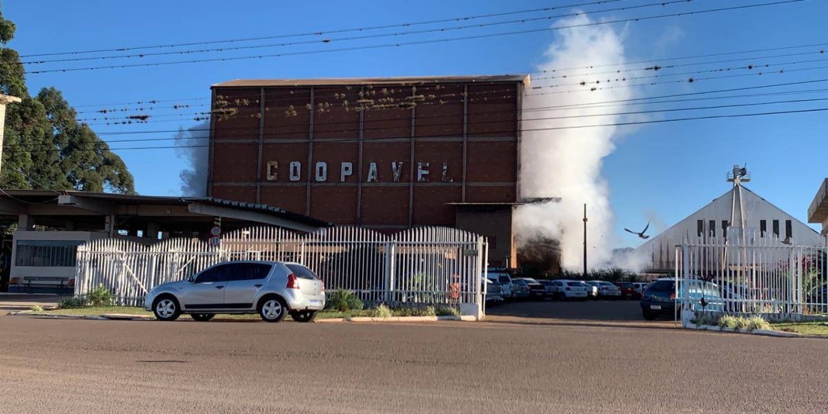 Fumaça chama atenção de populares as margens da rodovia BR-277 em Cascavel