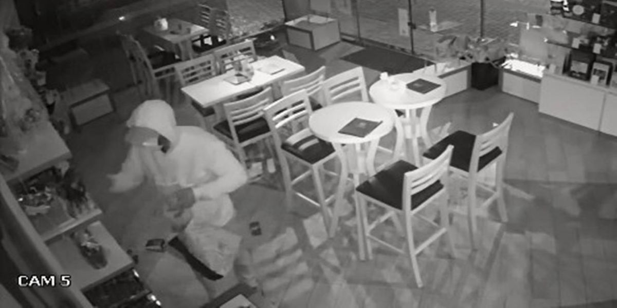 Câmera de segurança registra bandido quebrando vidro de empresa para furtar chocolates em Cascavel