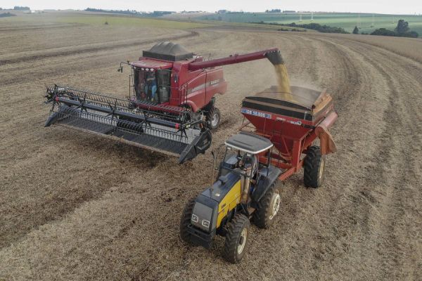 Safra de grãos será de 34,4 milhões de toneladas, aponta boletim da Agricultura