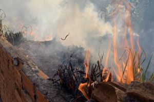 Imagem referente a notícia: Atear fogo em lixo em terrenos baldios responde por mais de 30% dos incêndios no Paraná