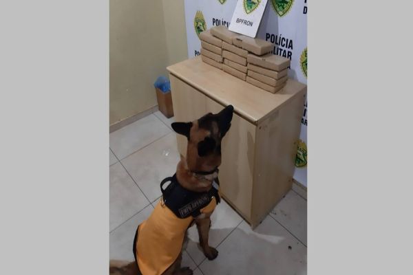 BPFRON apreende droga em ônibus em Cascavel