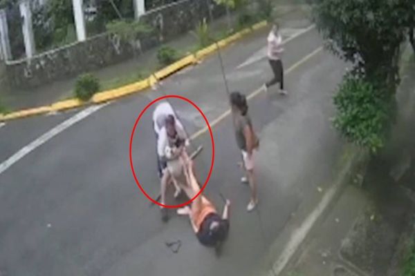 Imagem referente a notícia: Homem salva mulher de ataque de pitbull com golpe de ‘mata-leão’; veja vídeo