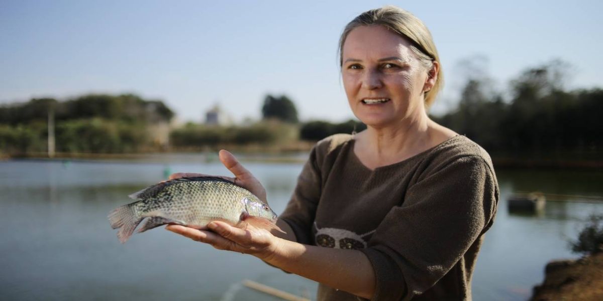 Programa incentiva a piscicultura em Cascavel