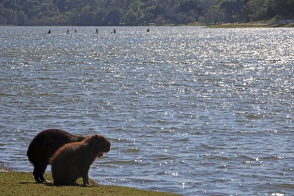 Cascavel pode atingir máxima de 36°C no mês de agosto