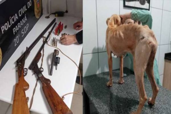 Homem é preso com Arma de fogo ilegal após investigação de maus tratos à animais em Toledo