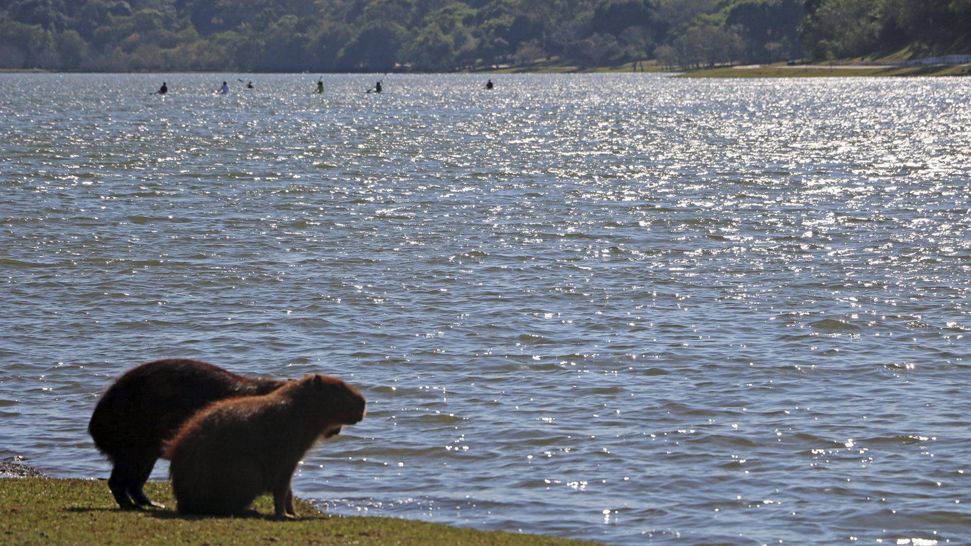 Cascavel pode atingir máxima de 36°C no mês de agosto