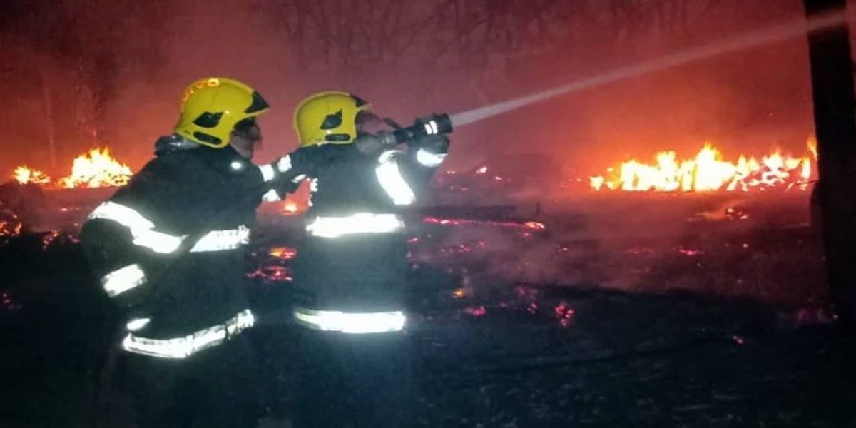 Incêndio destrói aviário e mata mais de 40 mil frangos; veja vídeo