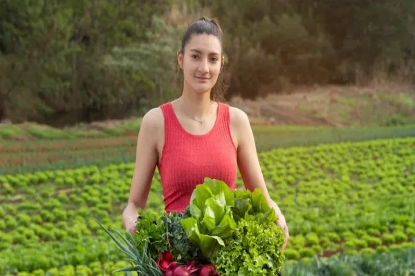 Foto relacionada a notícia: Comsea realiza o 1º Fórum da Agricultura Familiar
