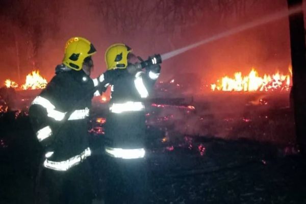 Imagem referente a notícia: Incêndio destrói aviário e mata mais de 40 mil frangos; veja vídeo