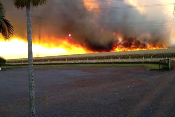 Imagem referente a notícia: Fogo atinge propriedade em Espigão Azul e deixa prejuízo