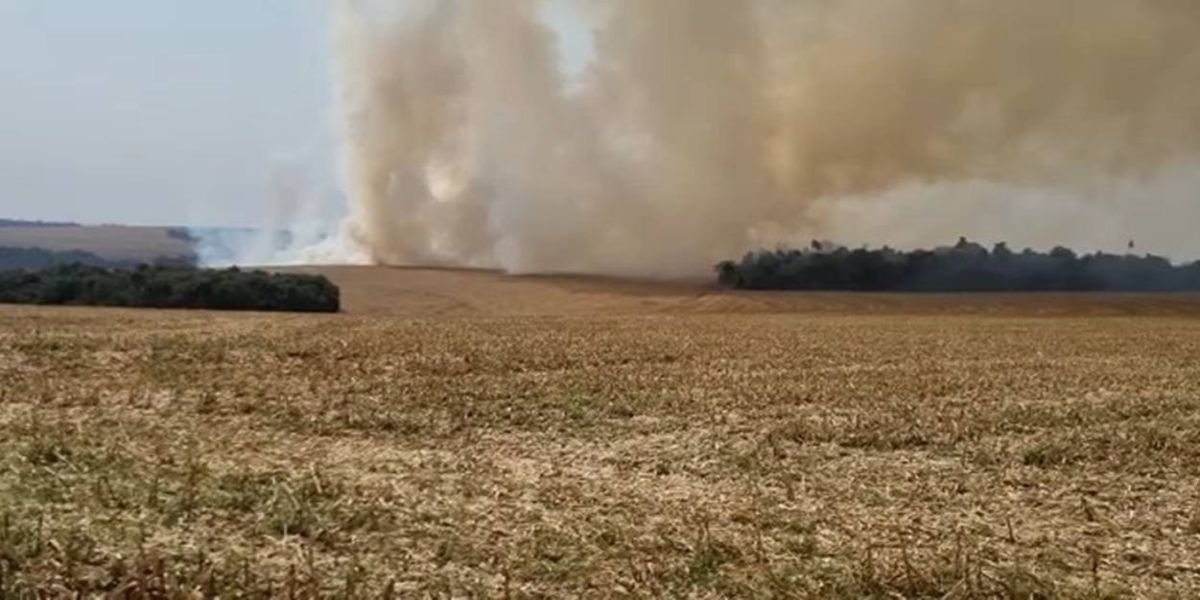 Incêndio é registrado em área rural de Sede Alvorada: Veja o Vídeo