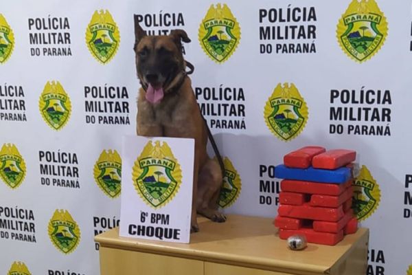 Operação Vida II: Homem é detido por trafico de drogas na rodoviária de Cascavel