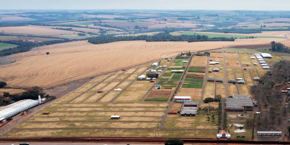 Show Rural: Edição de inverno apresenta 38 cultivares e cinco lançamentos