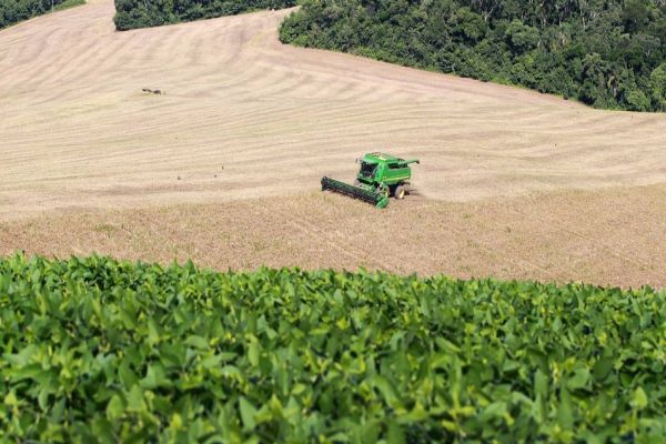 Fórum da Agricultura Familiar debaterá diversificação de produtos