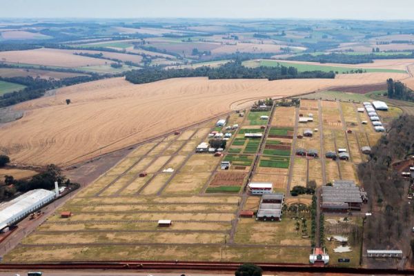 Show Rural: Edição de inverno apresenta 38 cultivares e cinco lançamentos