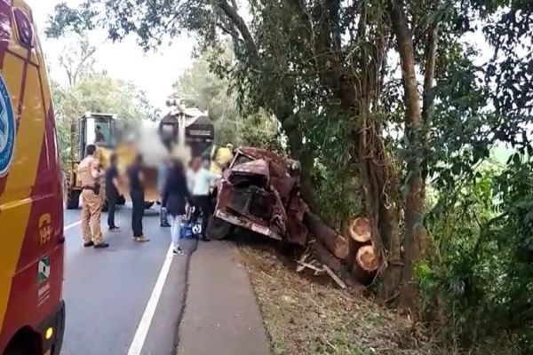 Grave acidente deixa motorista de caminhão morto na PR-281 e Carga de madeira era ilegal