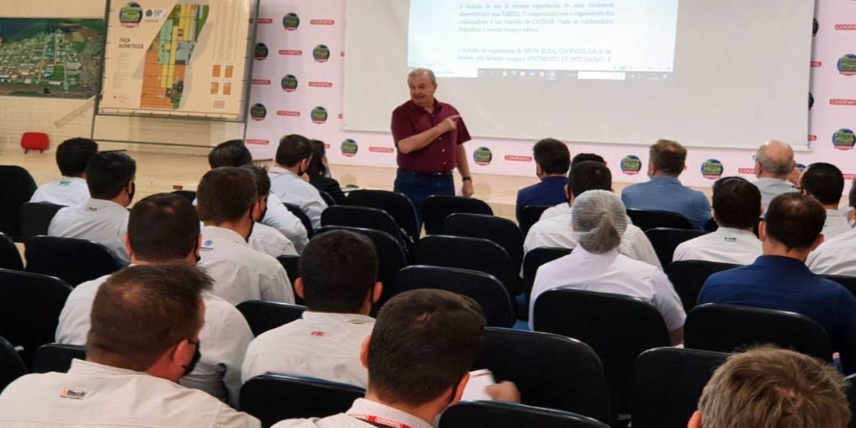 Trigo é cultura com maior potencial de crescimento nos próximos anos