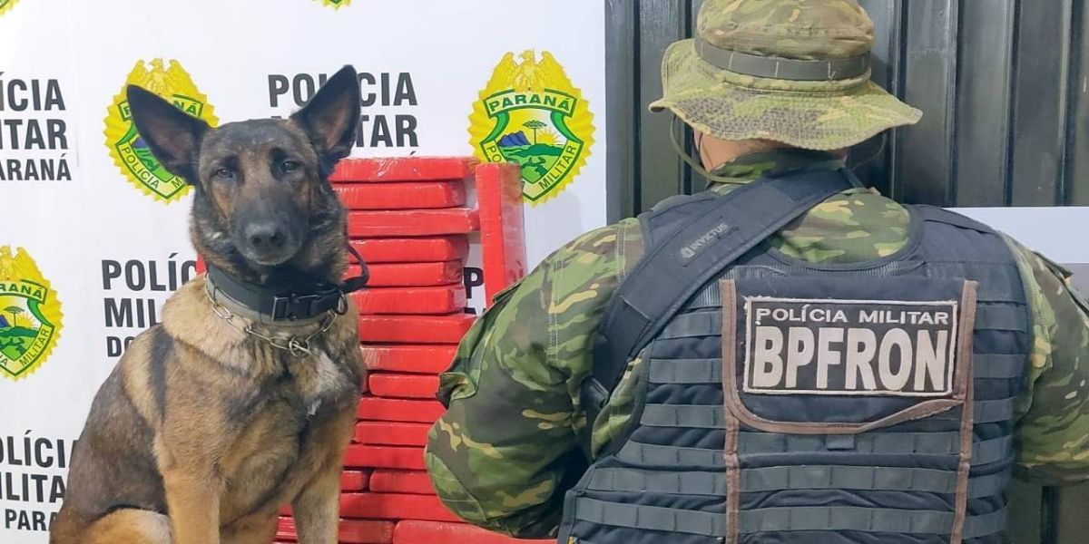 BPFRON apreende drogas com passageiro de ônibus em Cascavel
