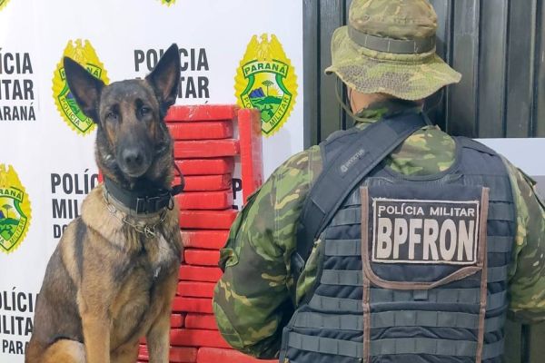 BPFRON apreende drogas com passageiro de ônibus em Cascavel