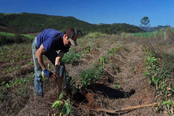 Cooperativas poderão receber serviços de assistência técnica e extensão rural