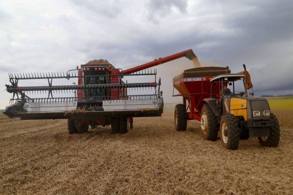 Safra de grãos de verão 2021/22 deve ter crescimento de 9% no Paraná