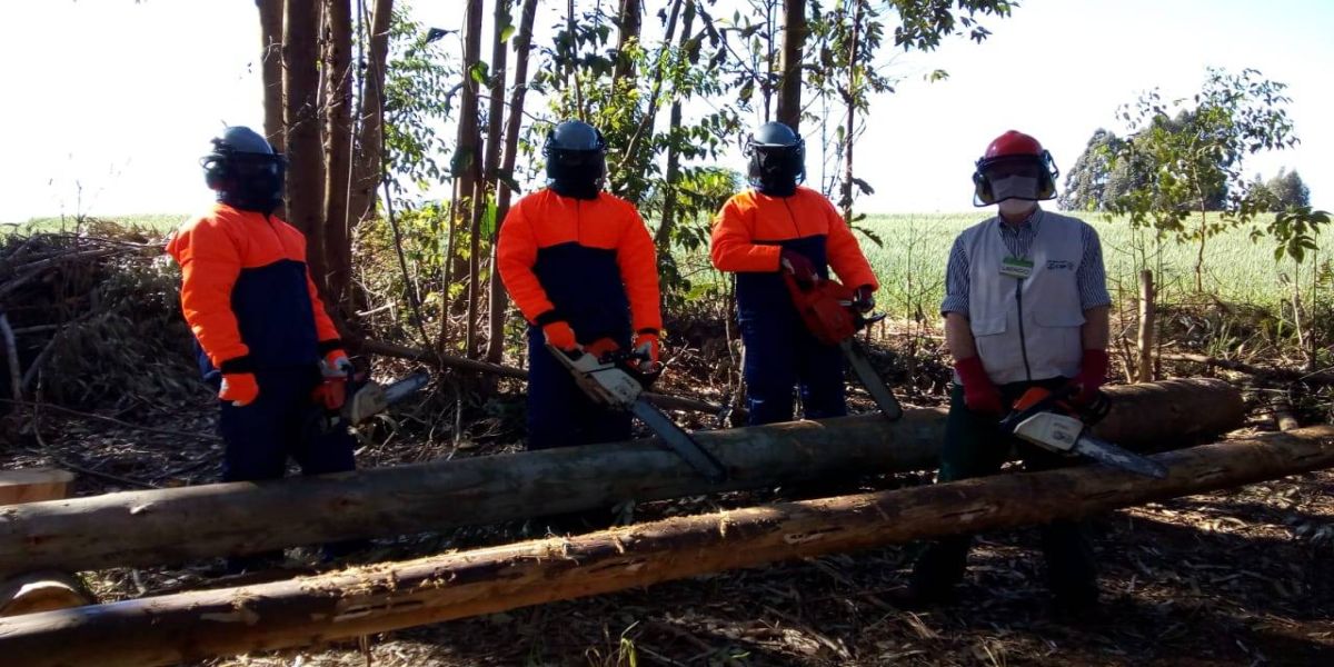 Servidores do Meio Ambiente recebem treinamento para operação de motosserra