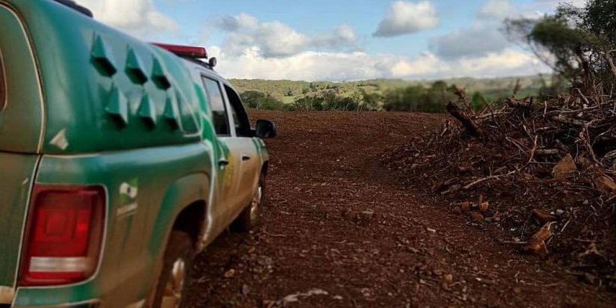 Polícia Ambiental aplica mais de R$400mil em multas por crimes ambientais em dois dias da operação