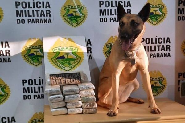BPFRON apreende jovem com drogas na bagagem de ônibus em Cascavel