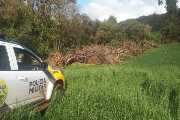 Foto relacionada a notícia: Estado aplica R$ 1 milhão em multas e apreende madeira nativa em ação contra o desmatamento